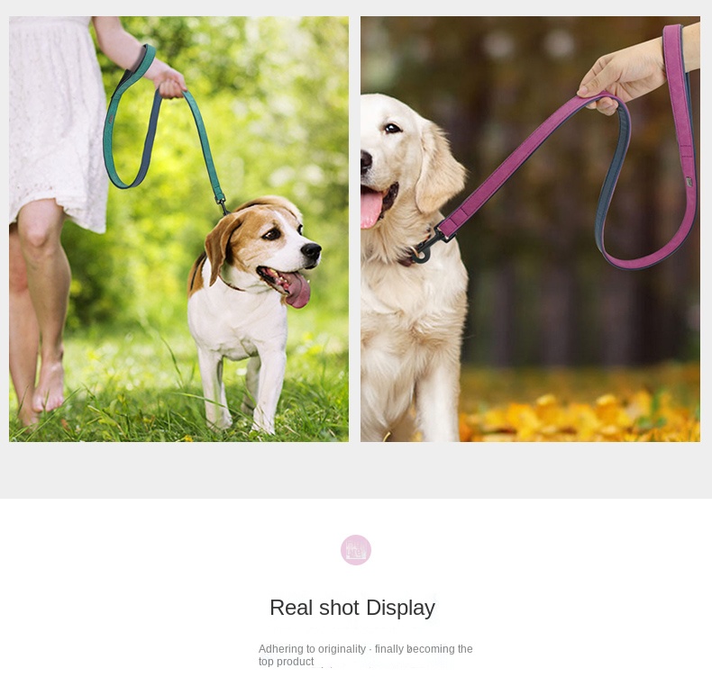 Generic Dog Collars Personalized Custom Dogs Collar Name ID Tags