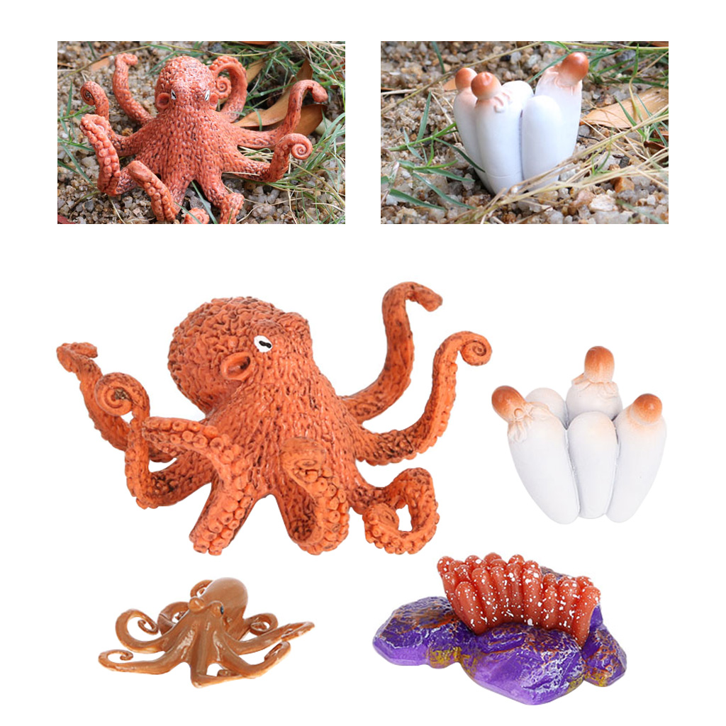 4 Stages Life Cycle of a Devilfish, Insects Plastic Devilfish Toy Figure - Authentic Hand Painted Model 4 Stages Life Cycle of a Devilfish, Insects Plastic Devilfish Toy Figure - Authentic Hand Painted Model