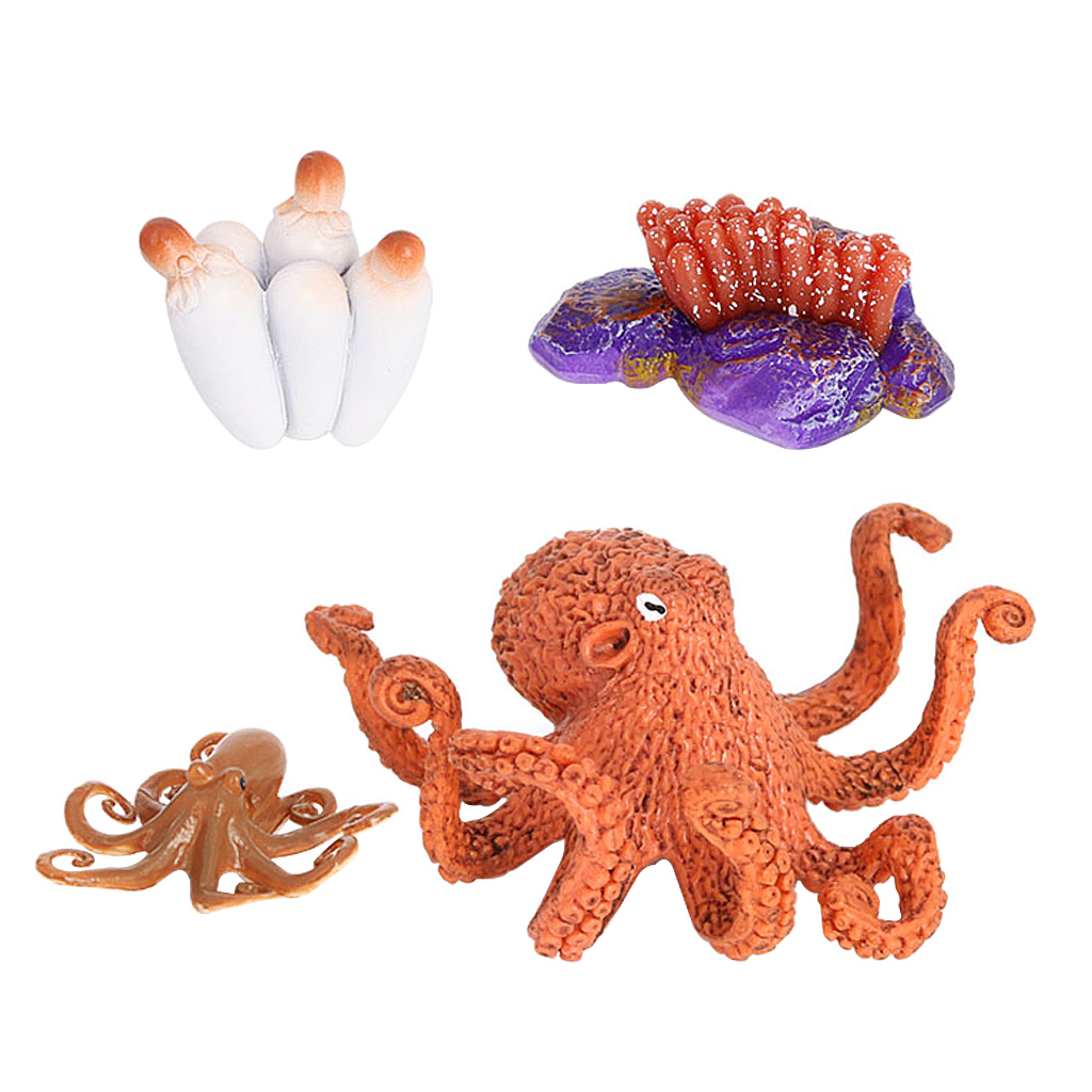 4 Stages Life Cycle of a Devilfish, Insects Plastic Devilfish Toy Figure - Authentic Hand Painted Model 4 Stages Life Cycle of a Devilfish, Insects Plastic Devilfish Toy Figure - Authentic Hand Painted Model