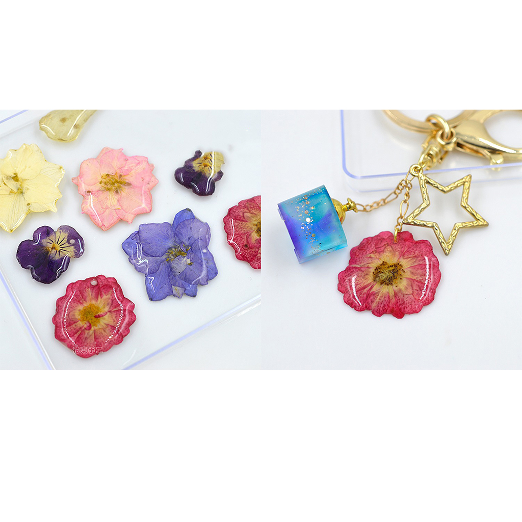 12x Natural Dried Flower Real Flower Chinese Rose for Kids Craft Card Making 12x Natural Dried Flower Real Flower Chinese Rose for Kids Craft Card Making