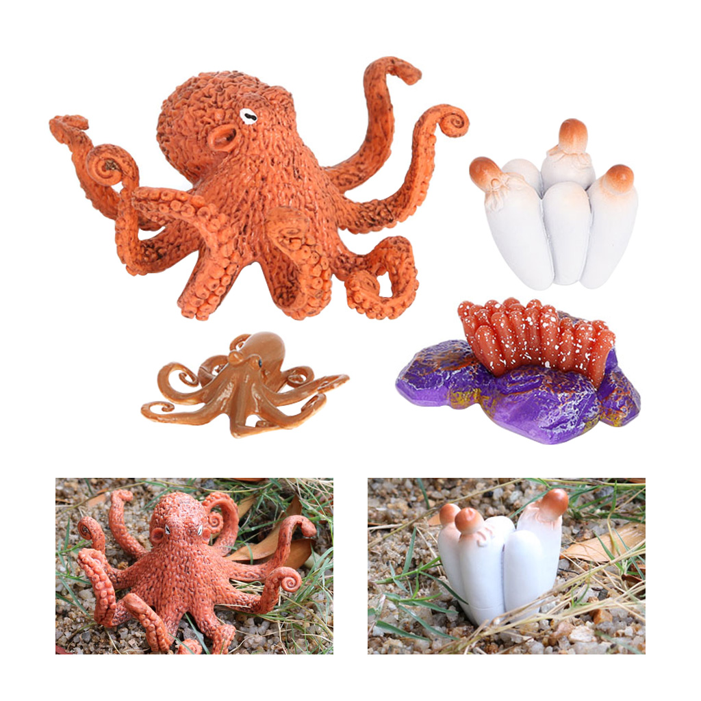 4 Stages Life Cycle of a Devilfish, Insects Plastic Devilfish Toy Figure - Authentic Hand Painted Model 4 Stages Life Cycle of a Devilfish, Insects Plastic Devilfish Toy Figure - Authentic Hand Painted Model