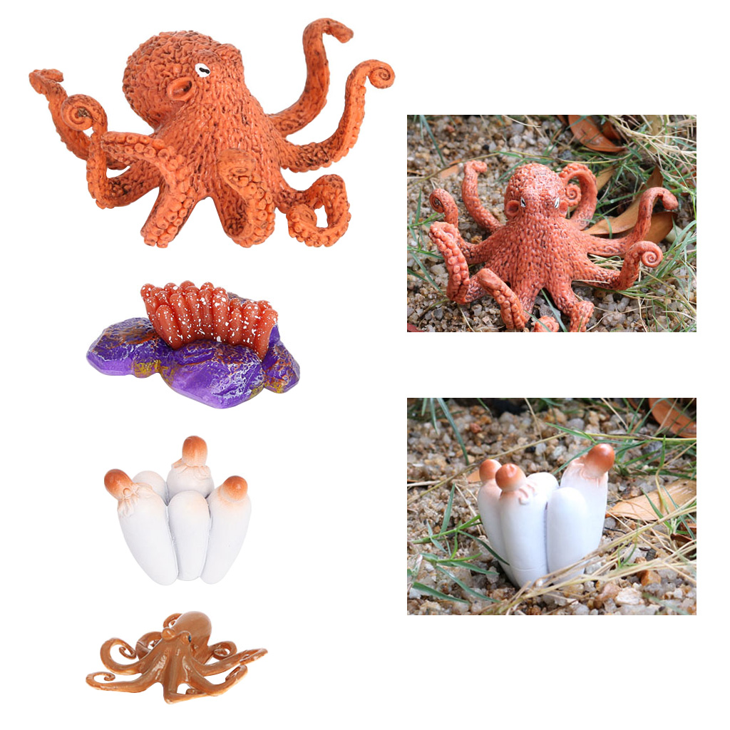 4 Stages Life Cycle of a Devilfish, Insects Plastic Devilfish Toy Figure - Authentic Hand Painted Model 4 Stages Life Cycle of a Devilfish, Insects Plastic Devilfish Toy Figure - Authentic Hand Painted Model