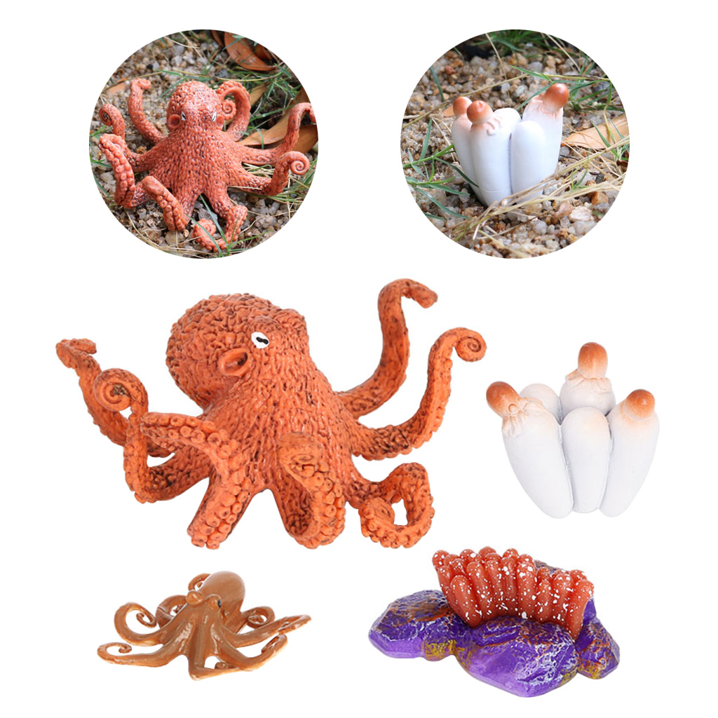 4 Stages Life Cycle of a Devilfish, Insects Plastic Devilfish Toy Figure - Authentic Hand Painted Model 4 Stages Life Cycle of a Devilfish, Insects Plastic Devilfish Toy Figure - Authentic Hand Painted Model