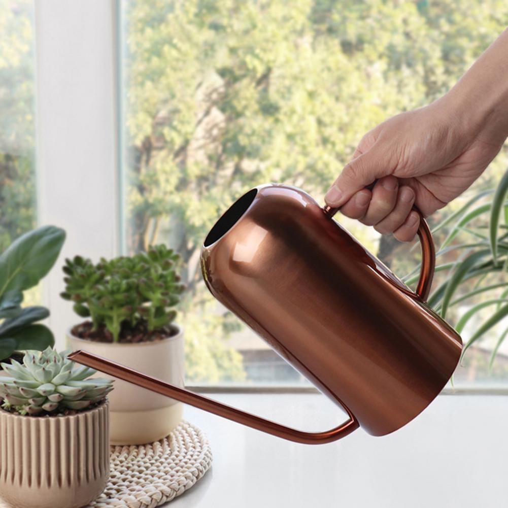 Pulvérisateur Arrosoir pour plantes bonsaï succulentes Pot en acier