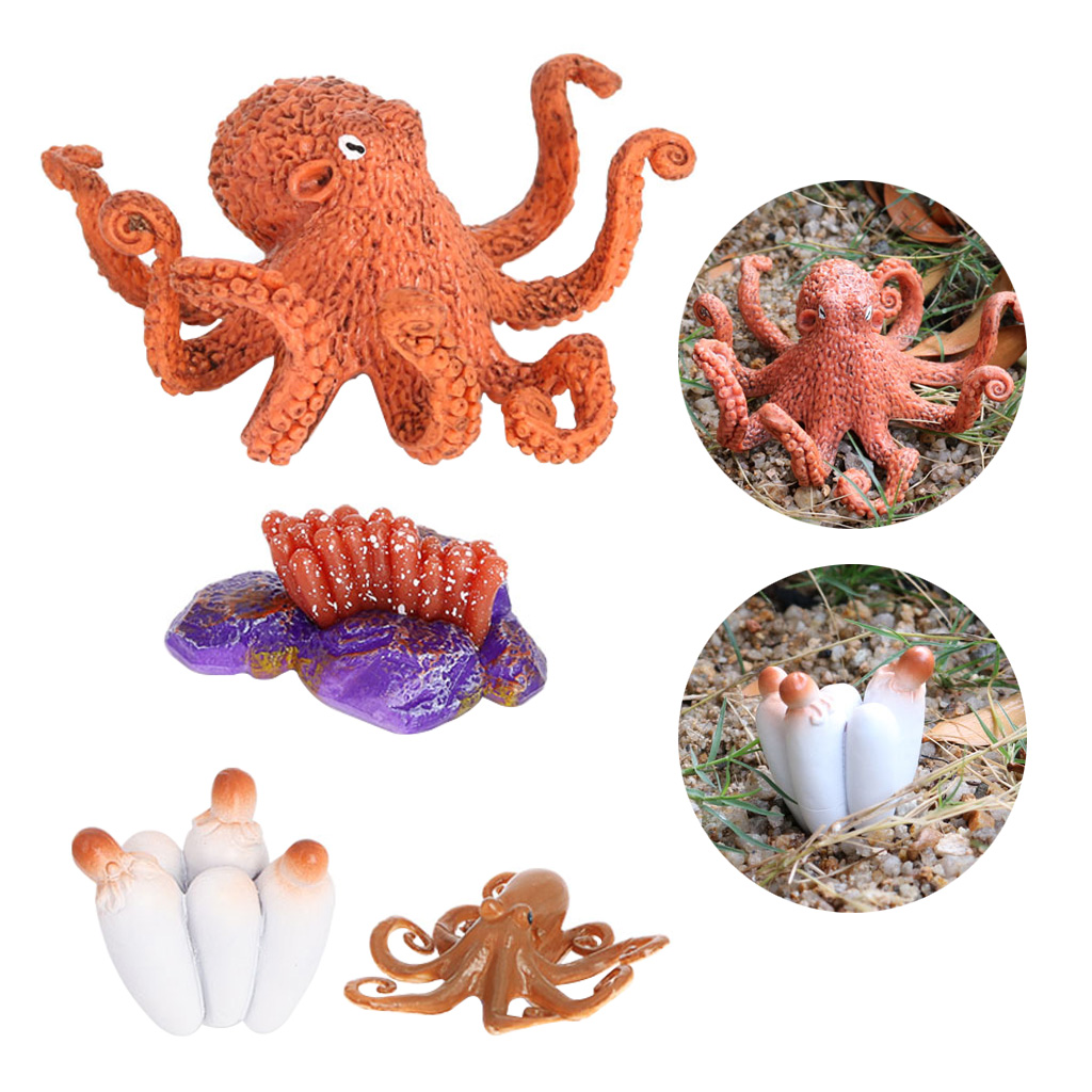 4 Stages Life Cycle of a Devilfish, Insects Plastic Devilfish Toy Figure - Authentic Hand Painted Model 4 Stages Life Cycle of a Devilfish, Insects Plastic Devilfish Toy Figure - Authentic Hand Painted Model
