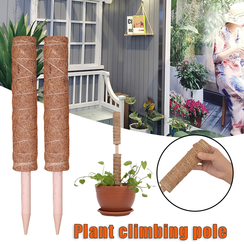 Tuteur Plante Cadre D Escalade Pour Plantes Totem En Noix De Coco B Ton