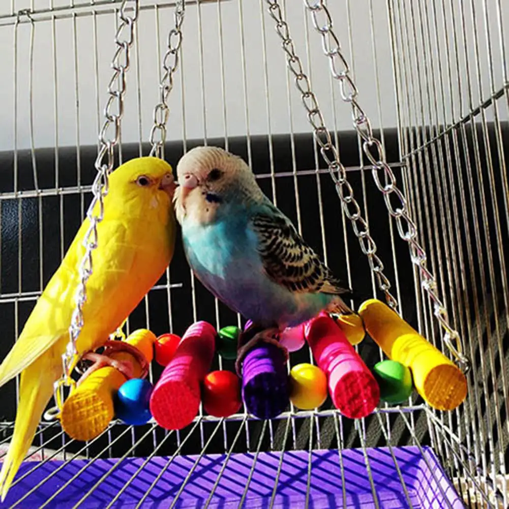 Обеспечим интересный досуг волнистым попугаям с игрушками