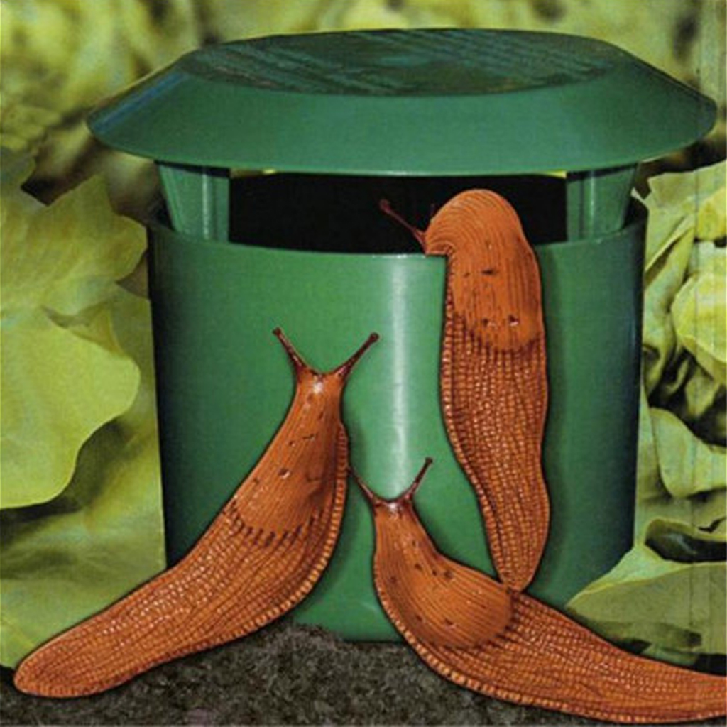 Garden Eco-friendly Snail Cage Slug House Catcher Trap Trapper Control