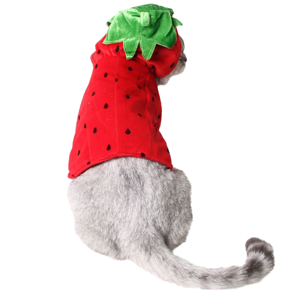 Cute Cat Costume Strawberry Hooded Clothes Halloween Daily Wear Pet Apparel