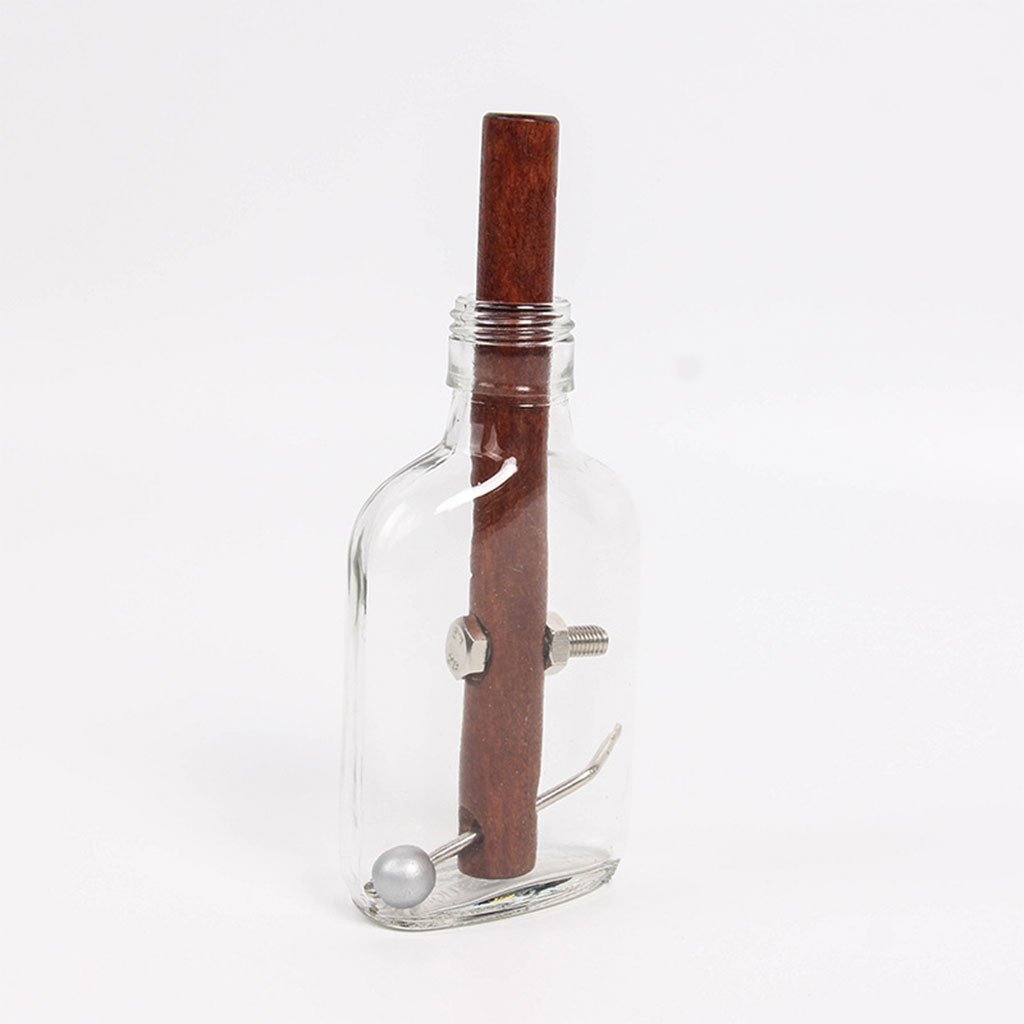 IQ Glass Bottle Puzzle Assembly and Disentanglement 3D Puzzles Intelligence Stress Relief Game Gifts