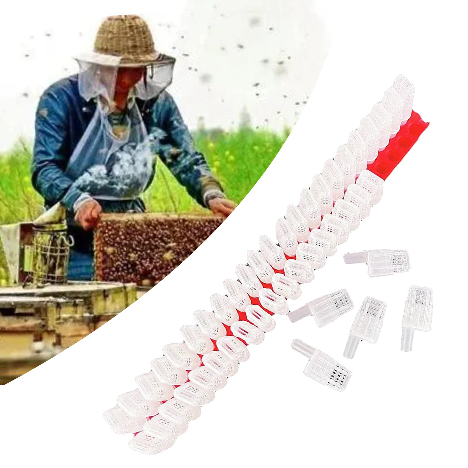 46 PCS Plastic Queen Bee Moving Isolator Hive Rearing Box Cage Protection Case Beekeeping Beekeeper Equipment Supplies