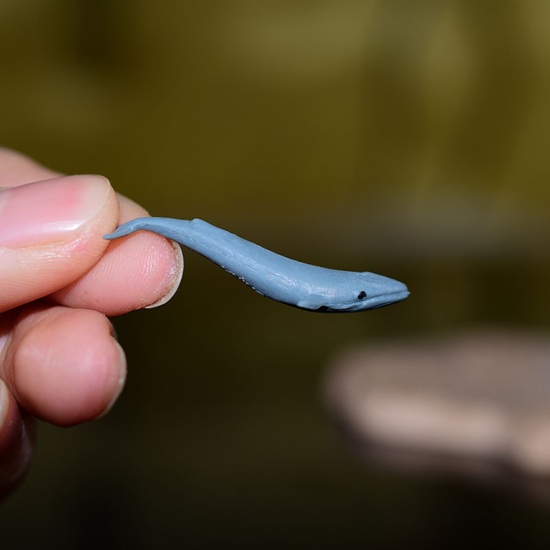 Miniature Oceans Animal Model Turtle Alligator Whale Shark Dolphin Penguin Clownfish Frog Sea World Mini Figurine Decor Toys