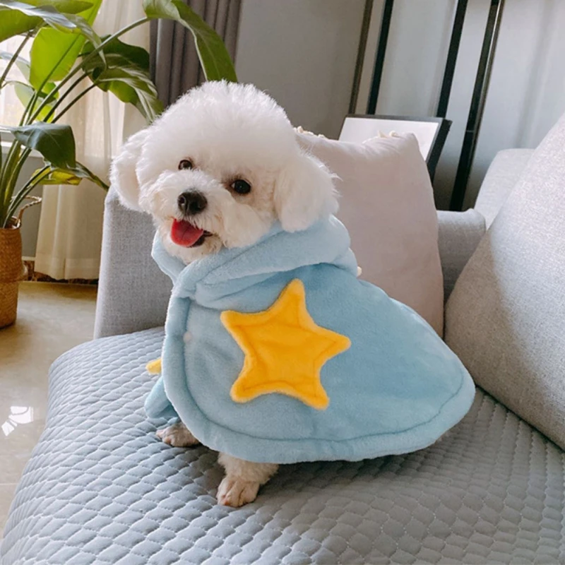 Un pequeño perro blanco que lleva una manta azul con una estrella amarilla. El perro parece estar sentado en un sofá y hay una maceta y un mueble al fondo. El perro se ve muy adorable y parece disfrutar del calor de la manta.