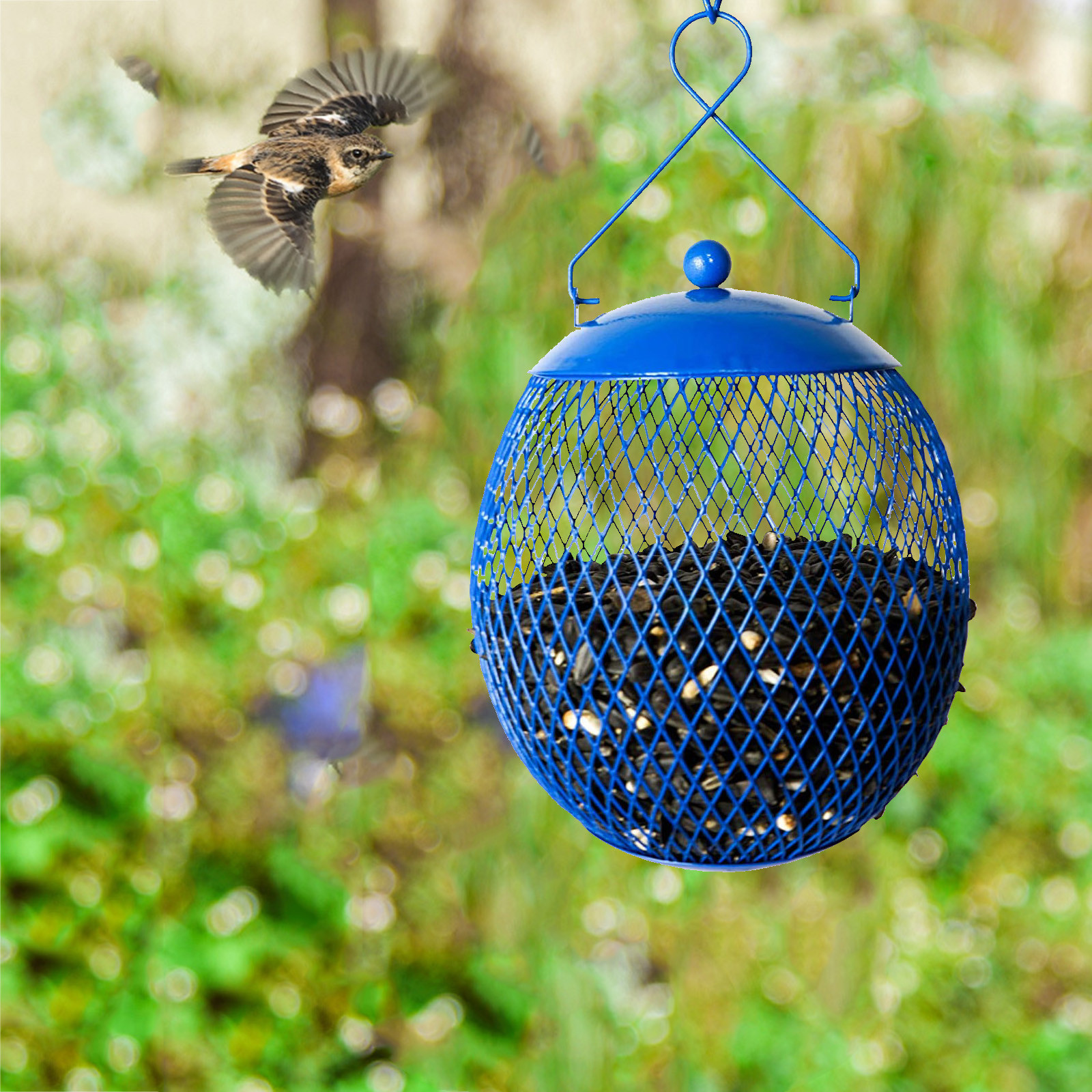 Courtyard Feeder bird cages Berrie Hummingbird bird feeder cage Garden bowls and bowls Villa Balcony bird feeder camera Courtyard Feeder bird cages Berrie Hummingbird bird feeder cage Garden bowls and bowls Villa Balcony bird feeder camera