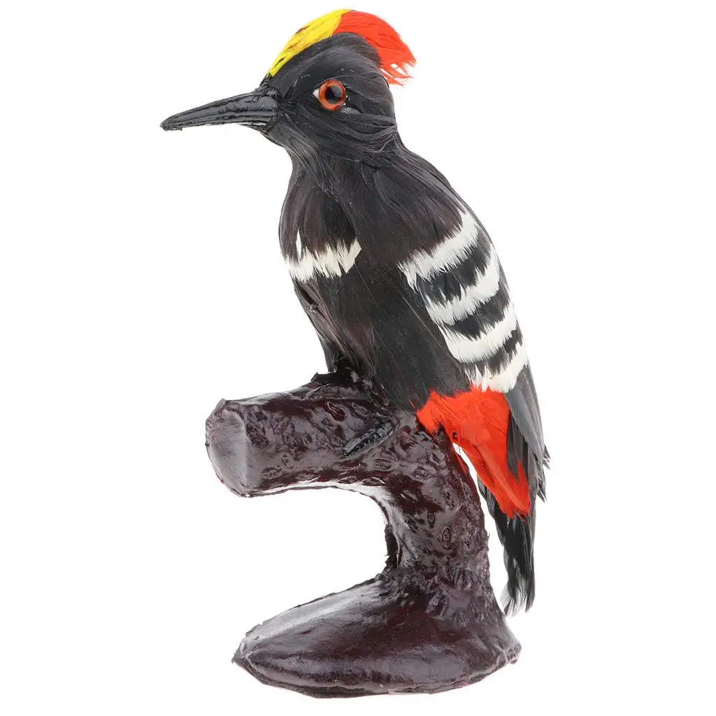 Lifelike Artificial Feathered Woodpecker Animal Model Science Nature Toy A