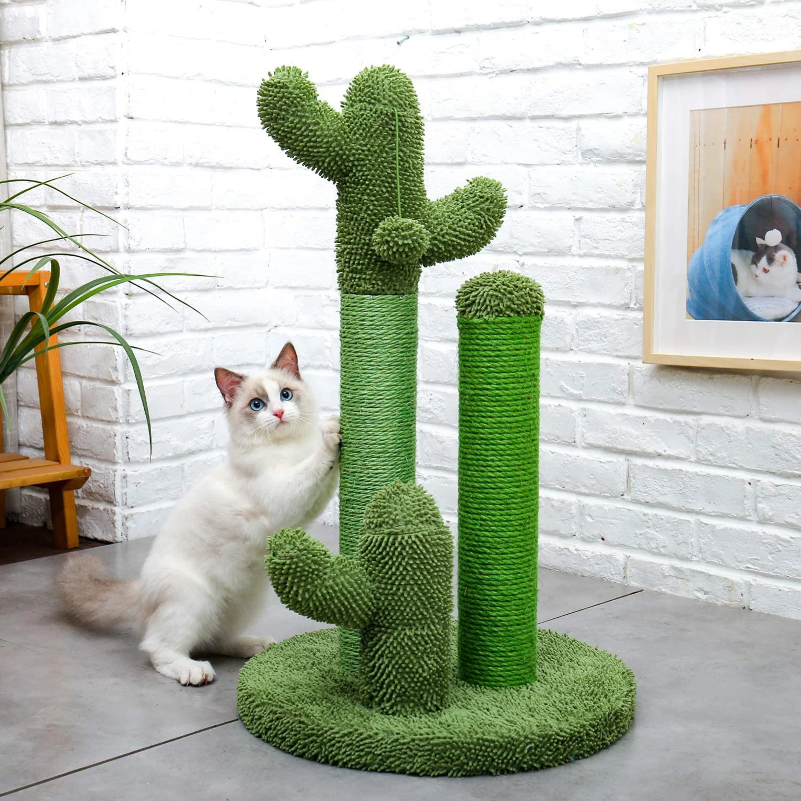 Sisal Rope Cat Scratcher with Ball for Cats Kittens Lesure Cactus Cat Scratching Posts for Indoor Cats 