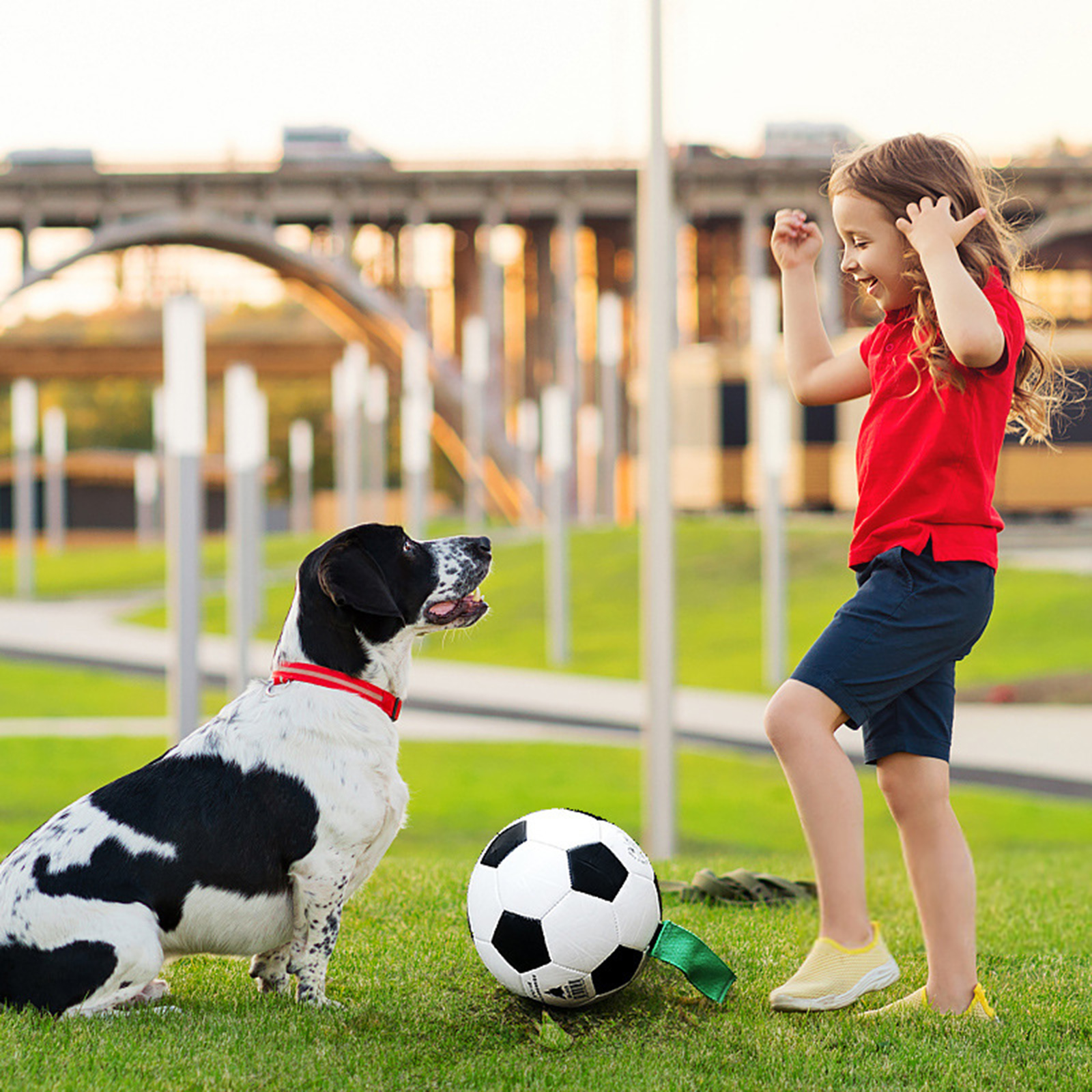 Dog Soccer Exercise Interactive Ball with Grab Tab Easy Grip Lawn Lake Swim Pool Beach Pet Puppy Football Training Toys