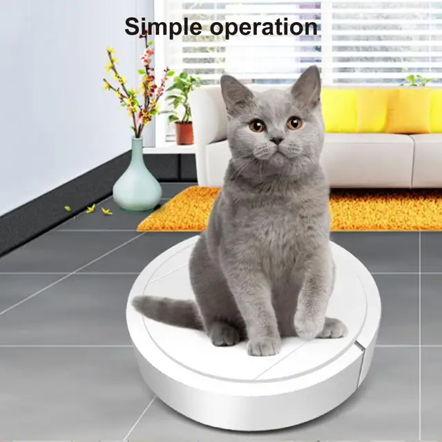 robot aspirador inteligente. modernos electrodomésticos inteligentes para  limpiar el apartamento. gato sentado en una aspiradora que funciona y  cabalgando sobre ella. limpieza y hogar y lindas mascotas favoritas 6968362  Vector en Vecteezy