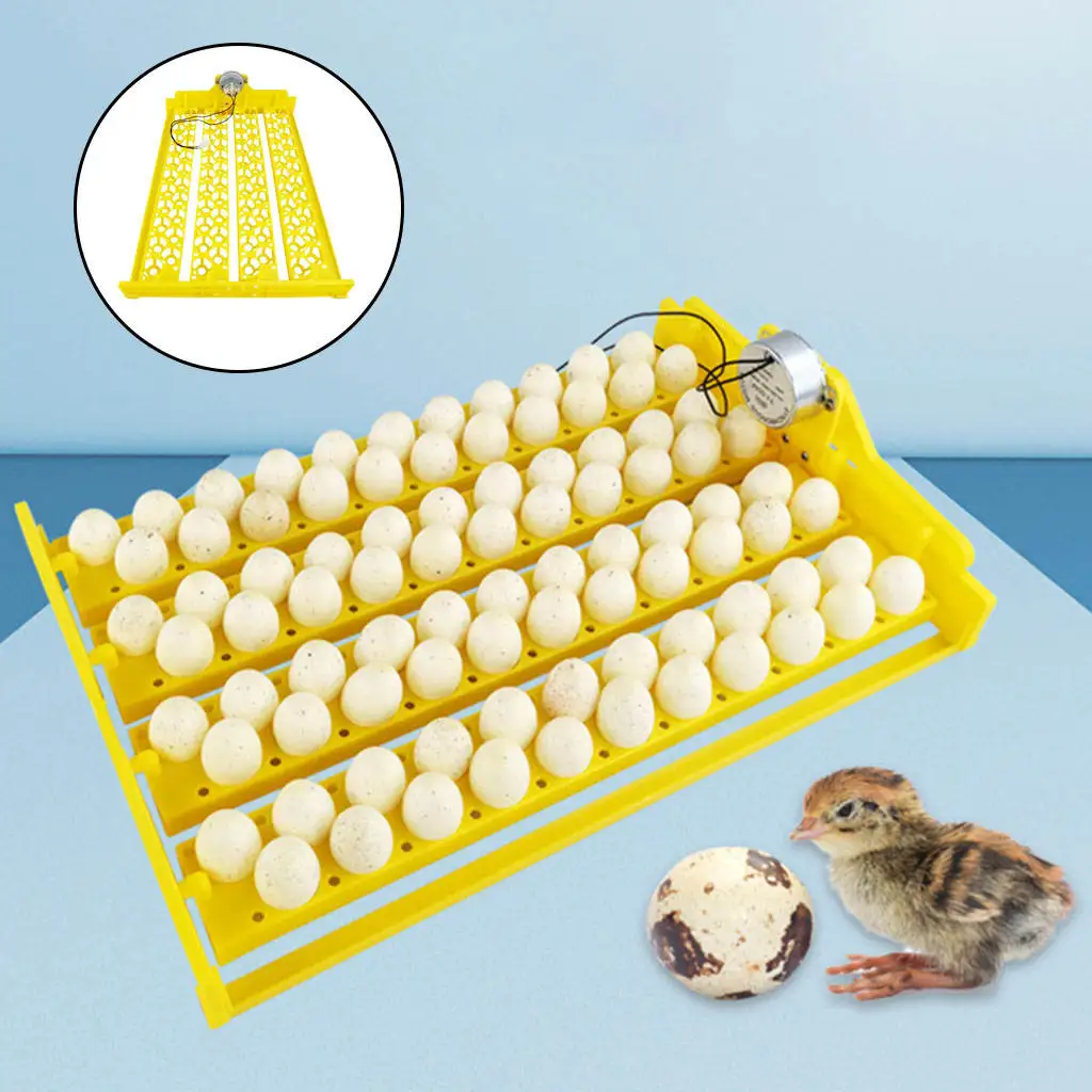 Mini Eggs Incubator 12 V 88 Eggs Egg Turning Hatcher with Motor Automatic Plastic Poultry Tray Brooder for Farm Quail Birds
