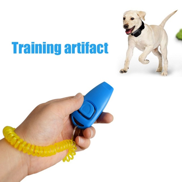 Szkolenie dla zwierząt gwizdek gwizdek szkolenia psów Clicker przewodnik po pomocy na zewnątrz gwizdek Multicolor codzienne praktyczne akcesoria dla psów tanie tanio Klikery do tresury CN (pochodzenie) Z tworzywa sztucznego Pet Supplies Trainings Szkolenie dla zwierząt gwizdek gwizdek szkolenia psów Clicker przewodnik po pomocy na zewnątrz gwizdek Multicolor codzienne praktyczne akcesoria dla psów tanie tanio Klikery do tresury CN (pochodzenie) Z tworzywa sztucznego Pet Supplies Trainings