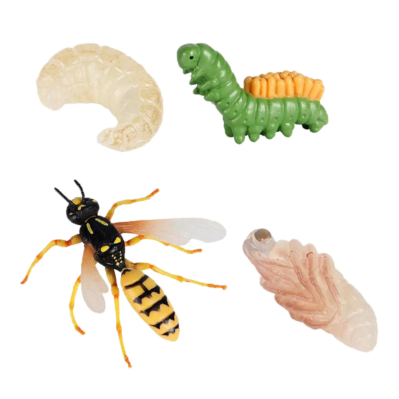 Authentic Hand 4 Piece Life Cycle Figures Insects Plastic Cicada Toy Figure 