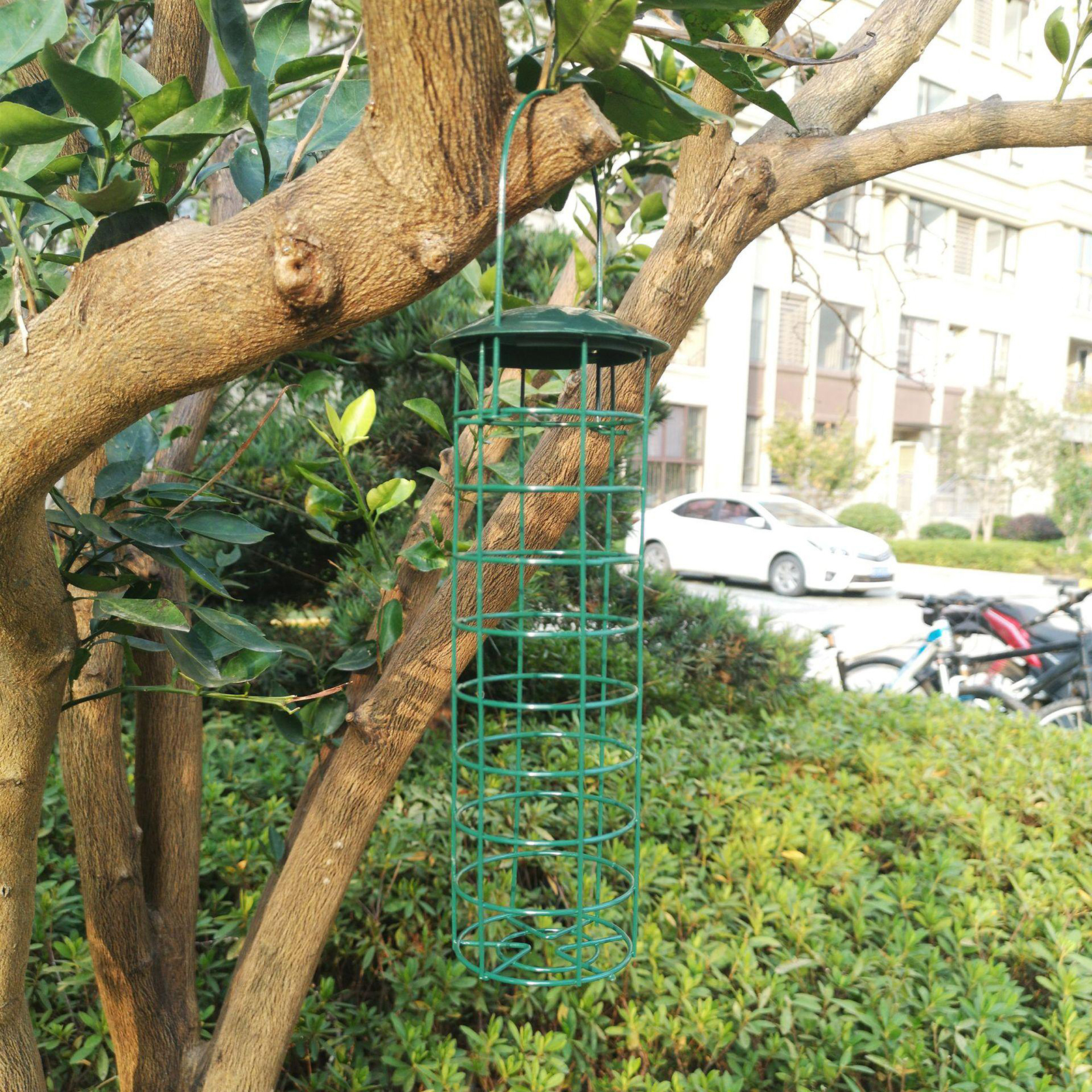 Durable Bird Feeder Pet Bird Hanging Suet Feed Tube Holder for Patio Backyard Decoration
