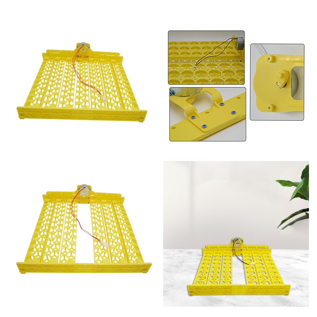 Egg Turner Tray Poultry Goose Birds Egg Hatcher DC110V Temperature Control