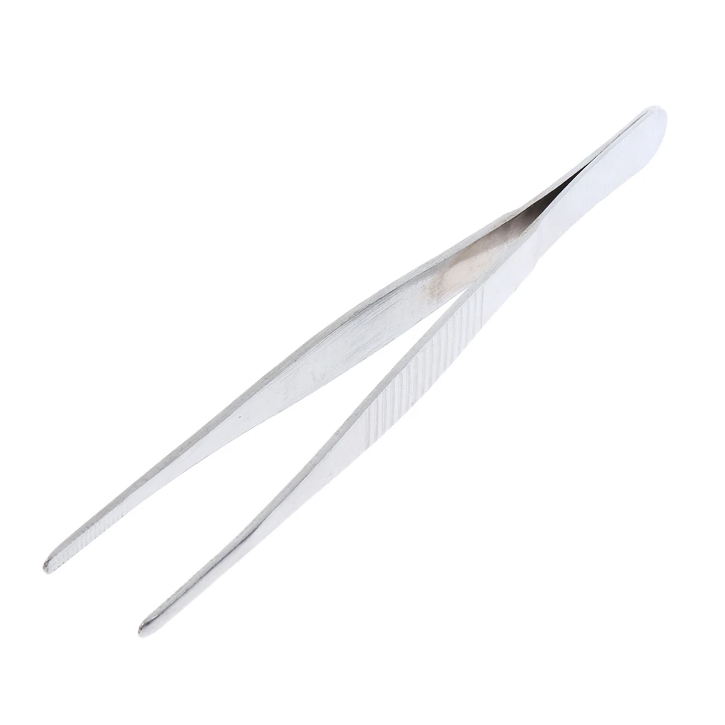 Stainless Steel Tweezers Straight Serrated Tip Round Head 140mm / 5.51''