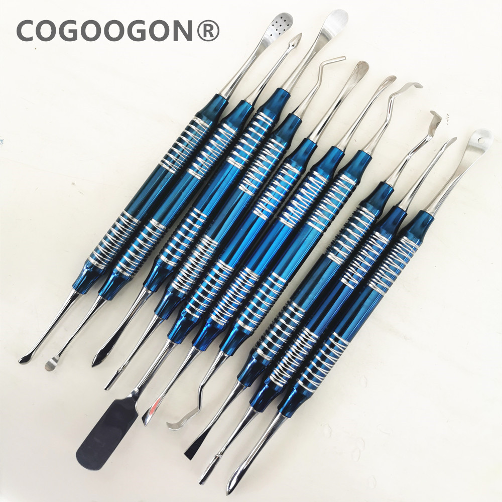 Best of 10pcs / set Periosteal Set Dental Dentist Instruments Molt Periosteal Elevator Set Titanium Reviews & Tips