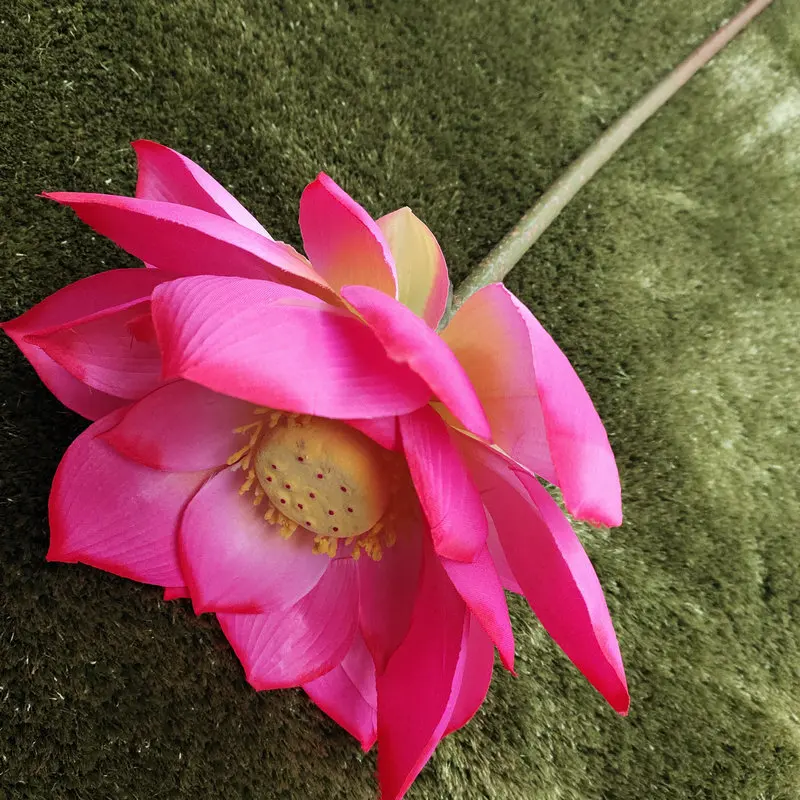 Una hermosa flor de loto rosa con sus pétalos completamente abiertos, dejando al descubierto el centro amarillo con pequeños estambres. La flor descansa sobre una superficie verde, que podría ser una alfombra o un tapete.