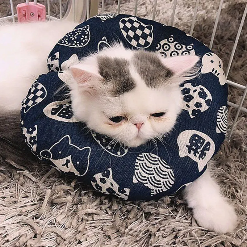 Un gato que lleva un collar con un estampado. El collar parece estar diseñado para parecerse a un pañuelo o una prenda de vestir con un diseño divertido que presenta gatos y otros patrones.