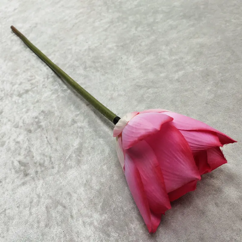 Una sola rosa con un tallo largo. La rosa parece estar en etapa de capullo, con los pétalos no completamente desplegados y tiene un tono rosado. El tallo es verde y parece fresco.