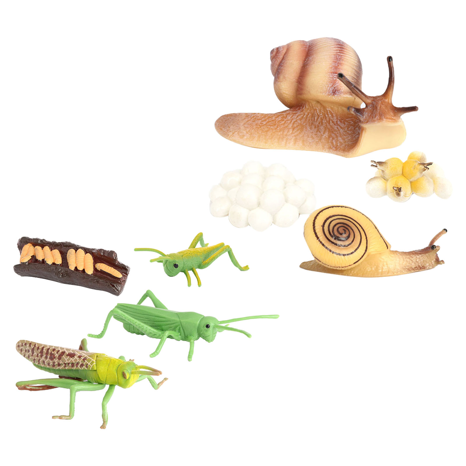 Kids Simulation Animal Figures Toys Grasshopper Snail Growth Process Models