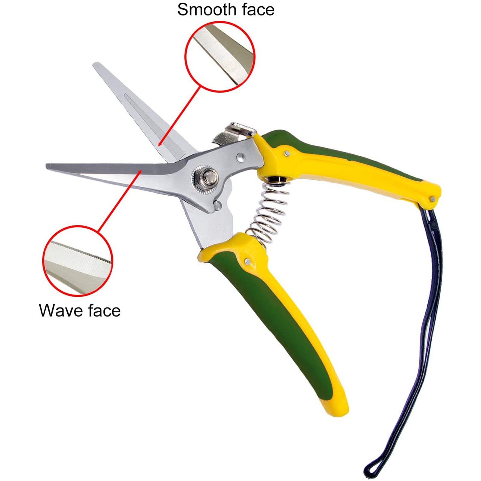 Title 3, Plants Shears Specialists Resistant Foot Rots S...