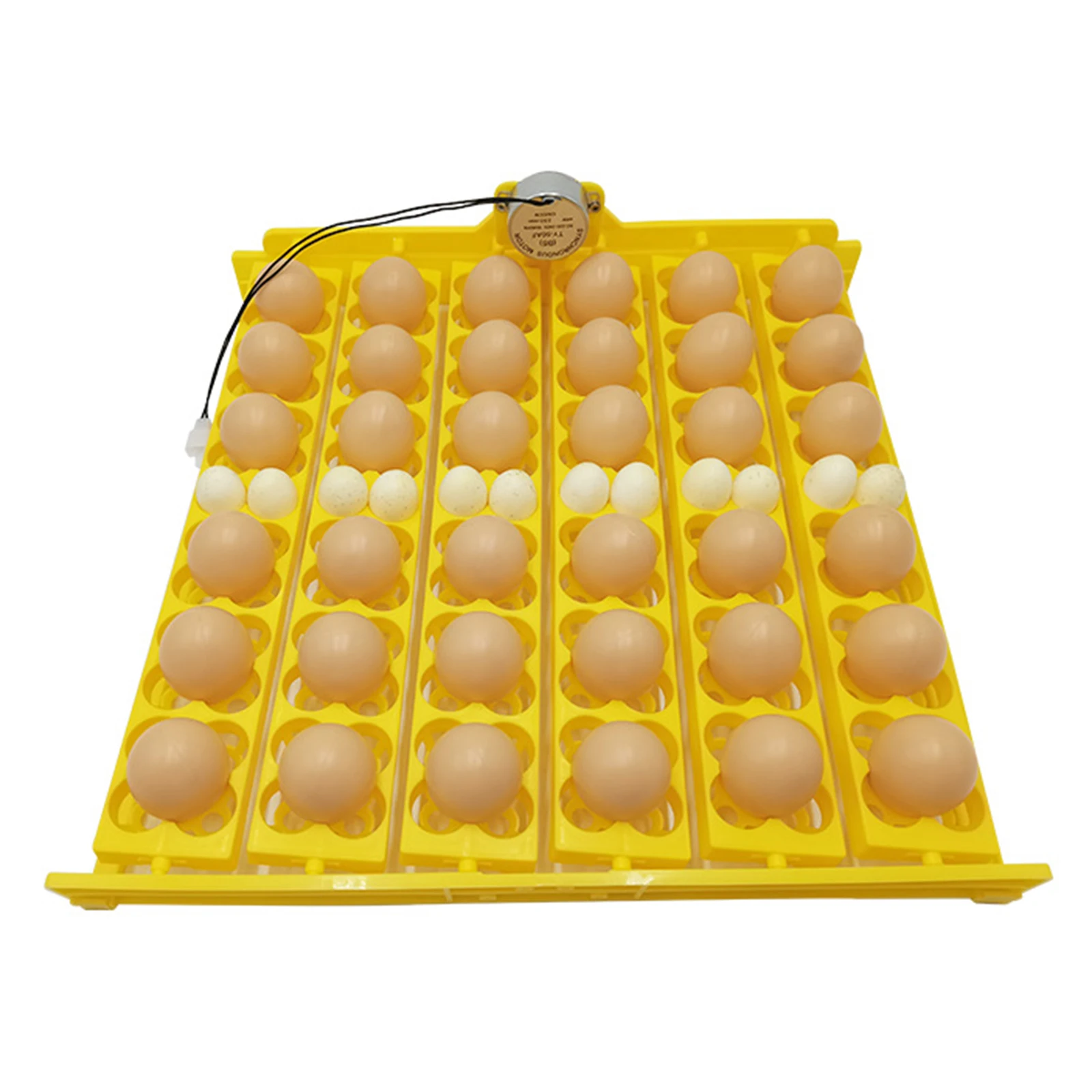 Eggs Incubator Automatic Turning Tray with Motor Farm Poultry Hatching Device for 36 Chicken Eggs, or 156 Quail Eggs, EU Type