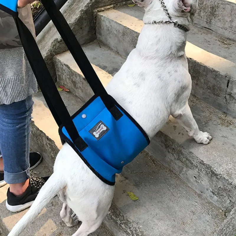 Portable Dog Sling For Back Legs Hip Support Harness to Help Lift Dogs Rear For Canine Aid and Old Dog Ligament Rehabilitation L padded dog collars	