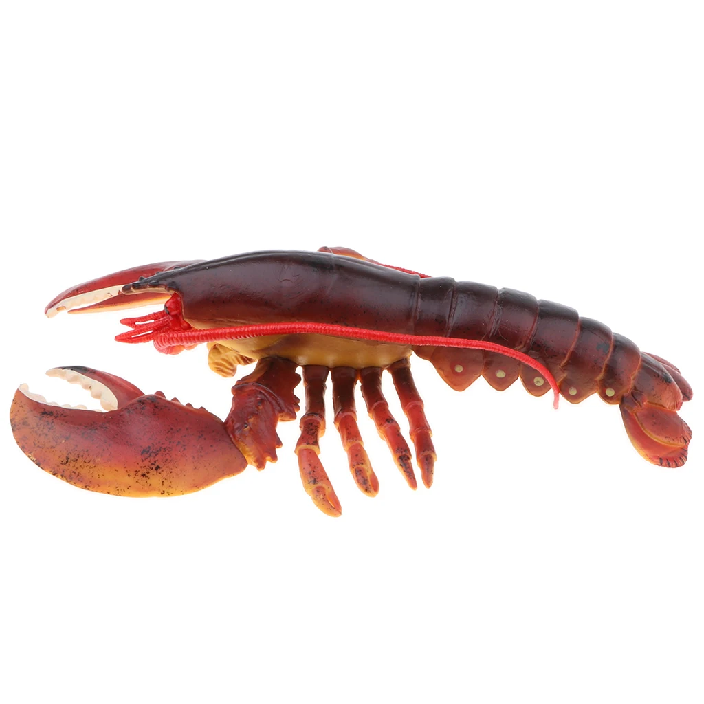 9 Inch Realistic Marine Animal Model Figurines Red Lobster Action Figure Toy for