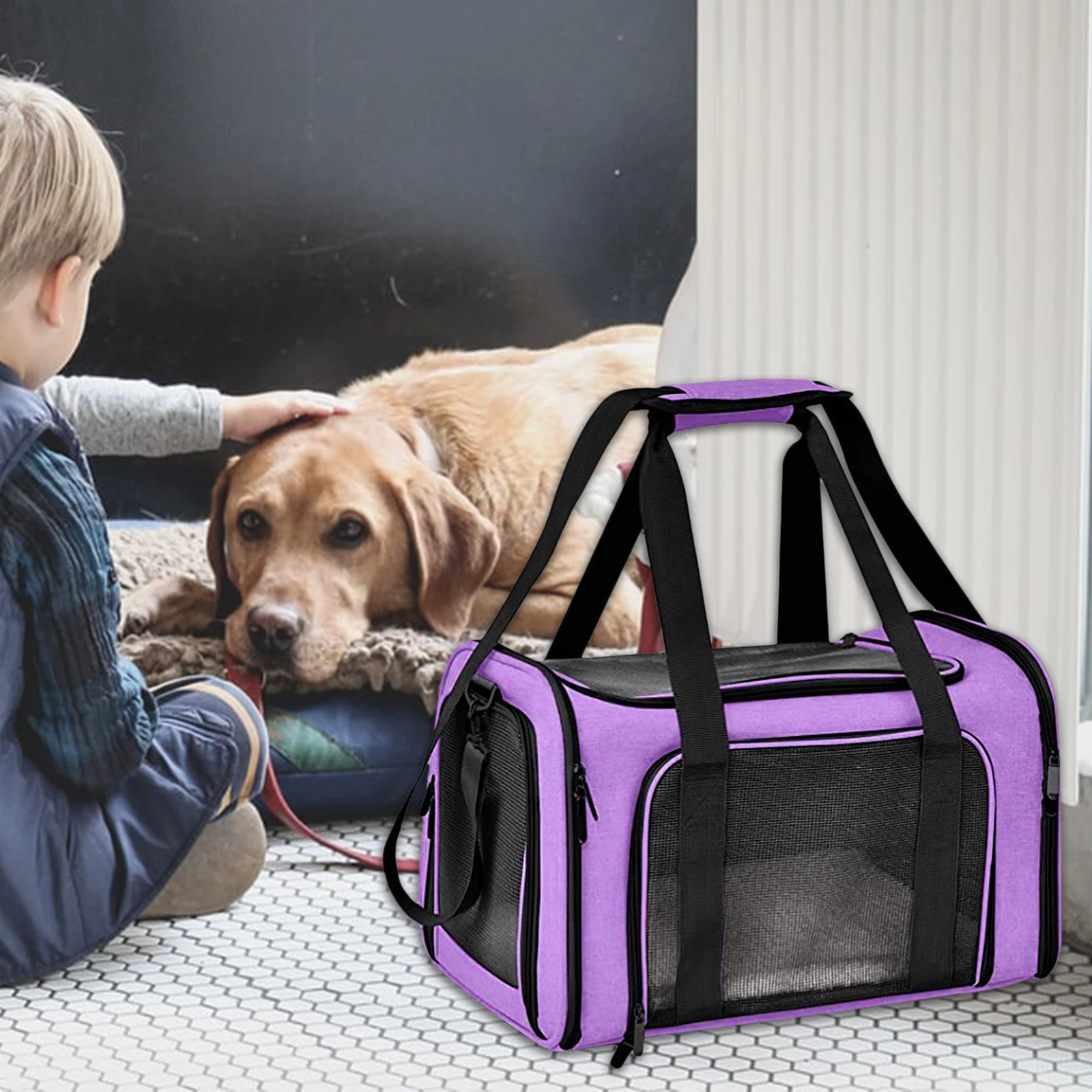 Soft Pet Carrier Cat Carrying Box Handbag Collapsible Cage Easy to Storage