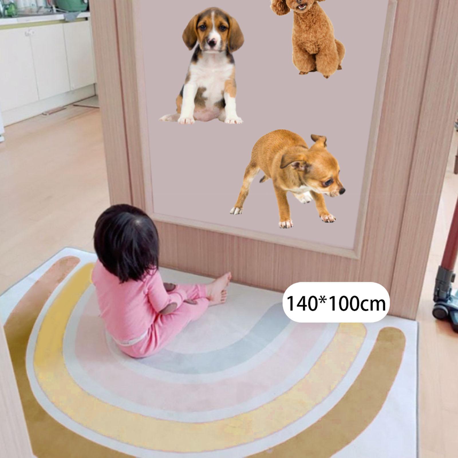 Non-Slide Rainbow Kids Carpet, Floor Rug for Kids Room Kindergarten Nursery Infant