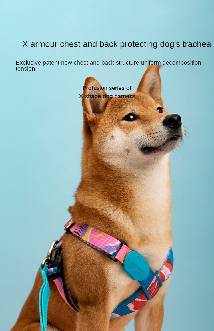 dog harness for shiba inu