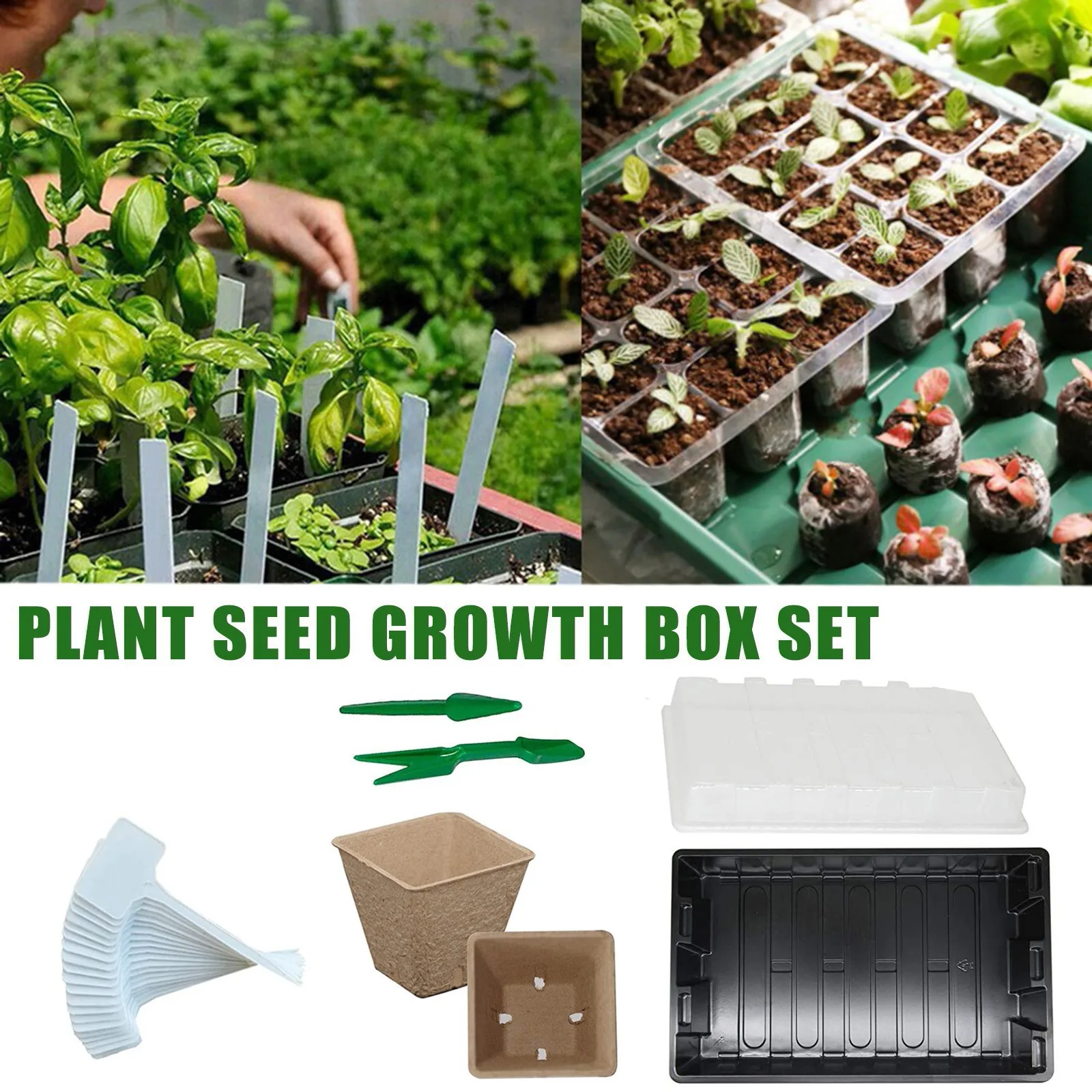 Plant Kit Seed Box Tray Grow Nursery Germination Planting Pot Gardening Supplies 