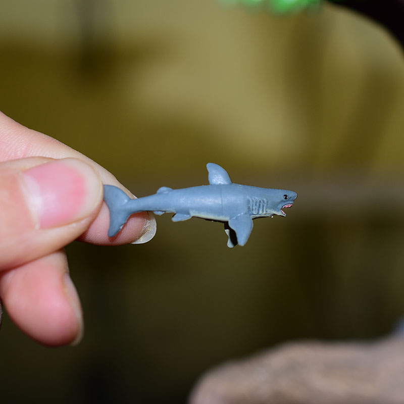 Miniature Oceans Animal Model Turtle Alligator Whale Shark Dolphin Penguin Clownfish Frog Sea World Mini Figurine Decor Toys