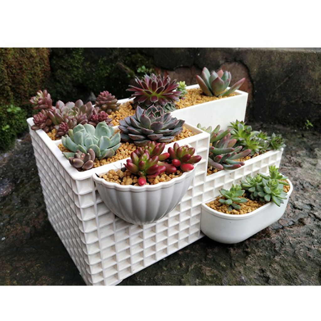 Succulent Planter Pots Desktop Cactus Plant Flower Pot DIY Garden Home Decor