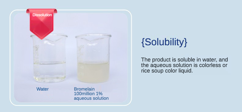 Bromelain powder supplier Yangge Biotech Bromelain powder supplier Yangge Biotech
