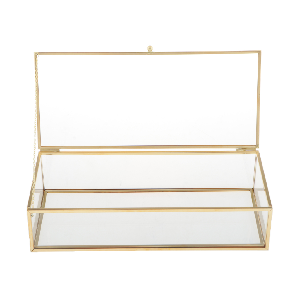 Vanity Transparent Jewelry Storage Box Showcase Holder Geometric Terrarium for