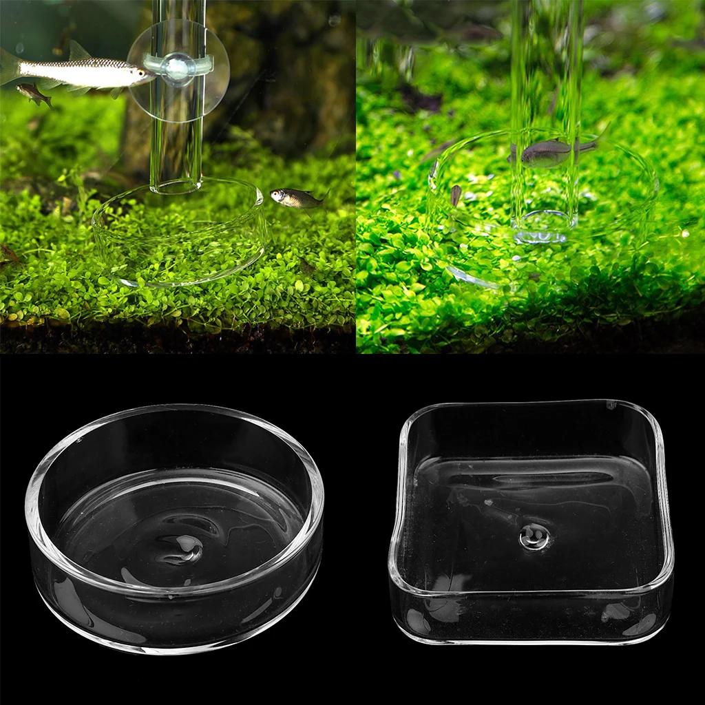 Clear Glass Shrimp Feeding Bowl Dish Small Food Dishes   Ornamental Supplies