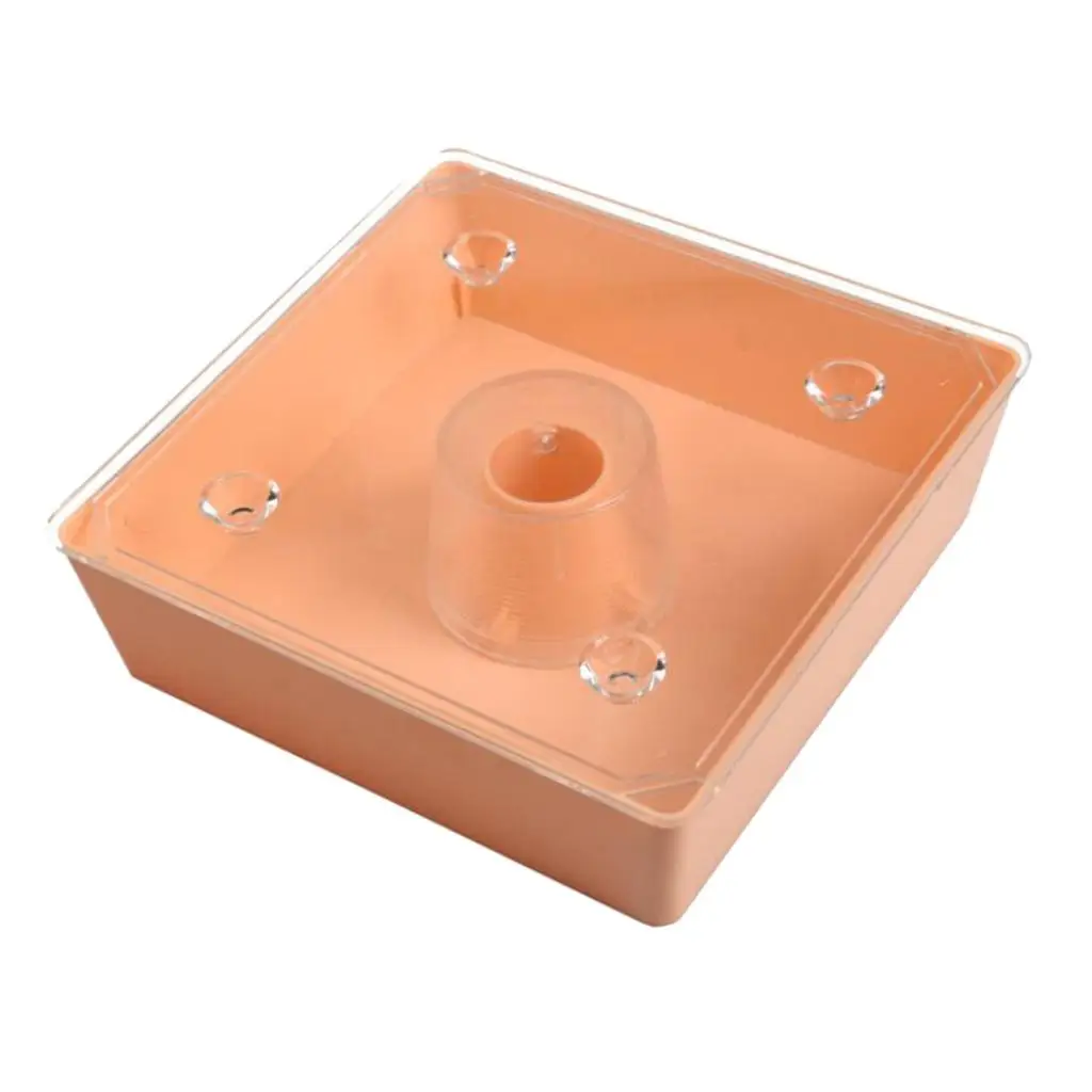 New Square 2 Litres Bee Feeder Beehive Top Feeder Beekeeper Tool Beekeeping Feeder with Transparent Cover Pre-assembled