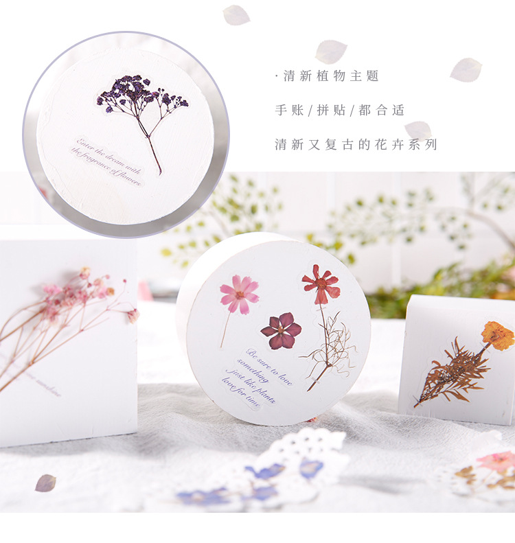 1pc Kreative Blumen & Pflanzen Kunst Sammlung Hand Buch Album Tagebuch Material DIY Dekoration PET Aufkleber – Detail 2