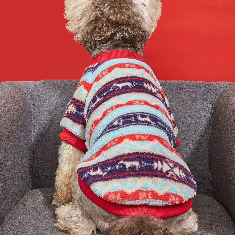 Un perro sentado en un sofá. El perro lleva un suéter colorido con un patrón que incluye lo que parece ser un diseño en zigzag y posiblemente algunas figuras de animales. El fondo es una pared roja y el sofá es de un color neutro, lo que contrasta con el suéter vibrante.