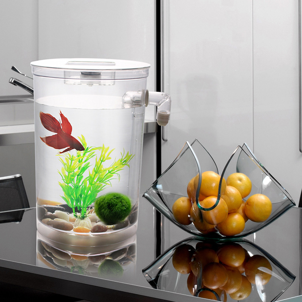 Clear Durable Fish Tank Aquarium Desktop Fishing Tank Aquatic Plants Stones
